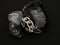 The Lune Link Ring
