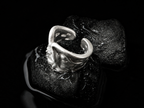 The Sea Rock Ring